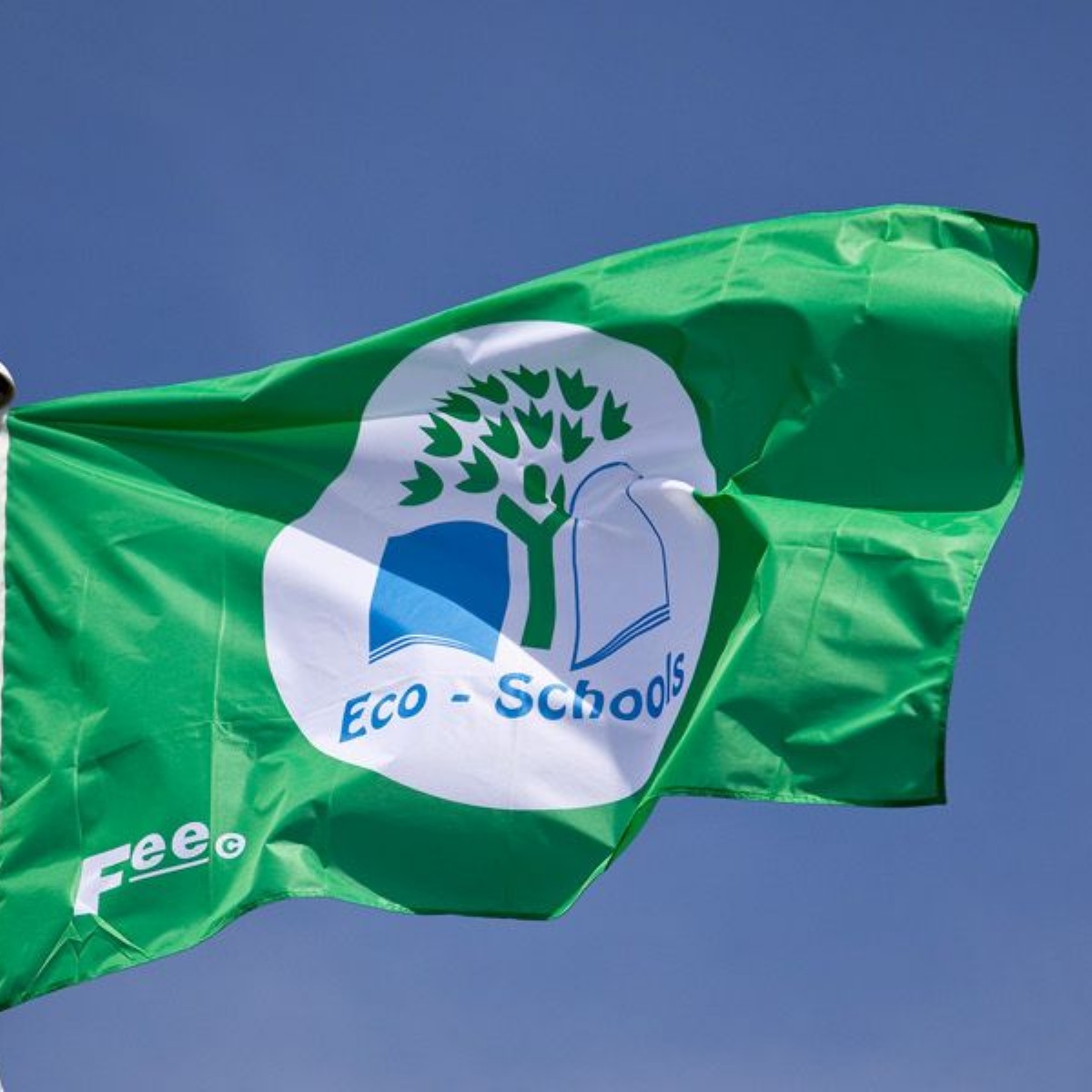 st-george-s-ce-school-eco-success-eco-schools-green-flag